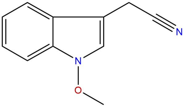 30536 48 2 - BIORLAB