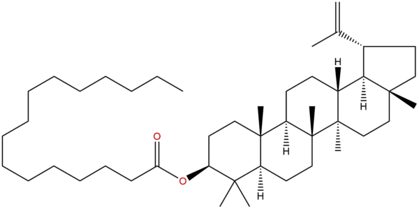 32214 80 5 - BIORLAB