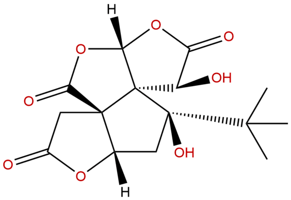 33570 04 6 - BIORLAB