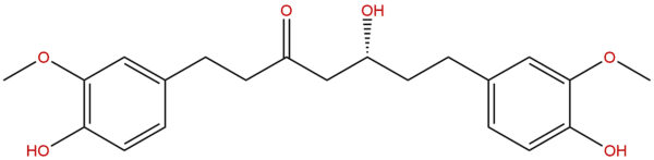 36062 05 2 - BIORLAB