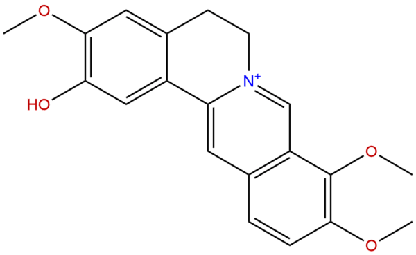 3621 36 1 - BIORLAB