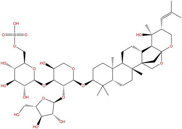 38148 47 2 - BIORLAB