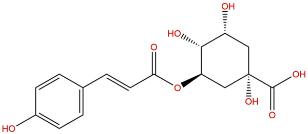 38382e3082d9c0fdff86eacea82eafbb - BIORLAB