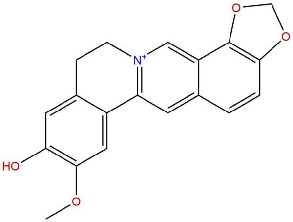 38691 95 1 - BIORLAB