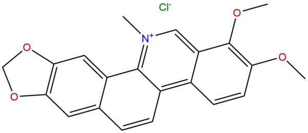 3895 92 9 - BIORLAB