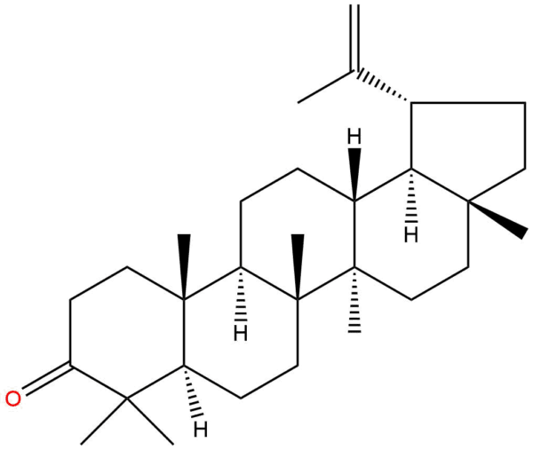 4001e1eedd55a65b8f258de6adff62ee - BIORLAB