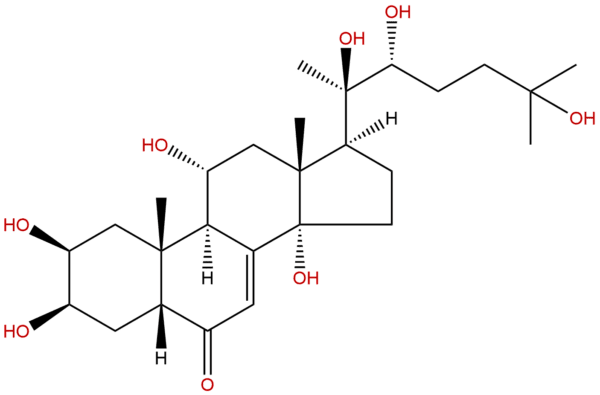 41451 87 0 - BIORLAB