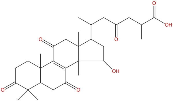 432a2ede15d9c44554dd06afc6f61c23 - BIORLAB