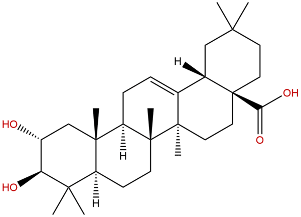 4373 41 5 - BIORLAB