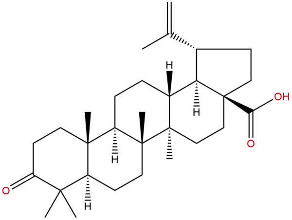 4481 62 3 - BIORLAB