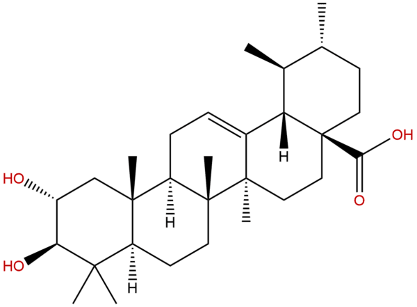 4547 24 4 - BIORLAB