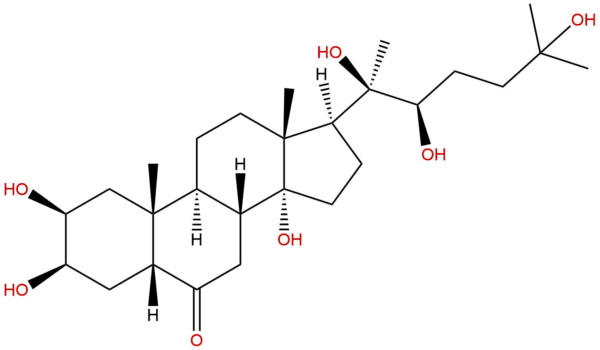 457603 63 3 - BIORLAB