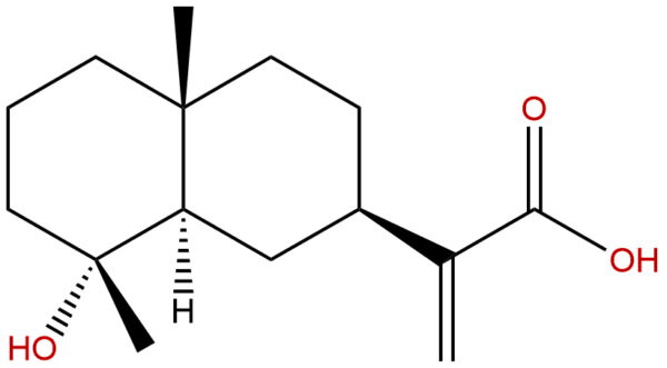 4586 68 9 - BIORLAB