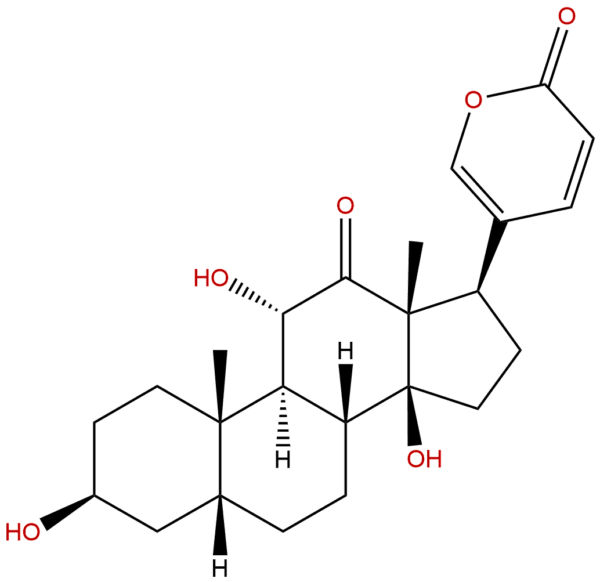 464 74 4 - BIORLAB