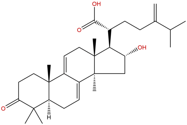 465 18 9 - BIORLAB