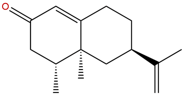 4674 50 4 - BIORLAB