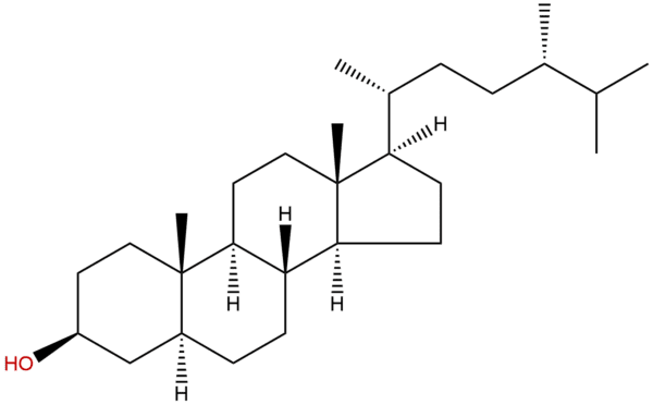 474 60 2 - BIORLAB