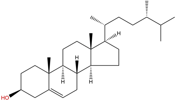 474 62 4 - BIORLAB