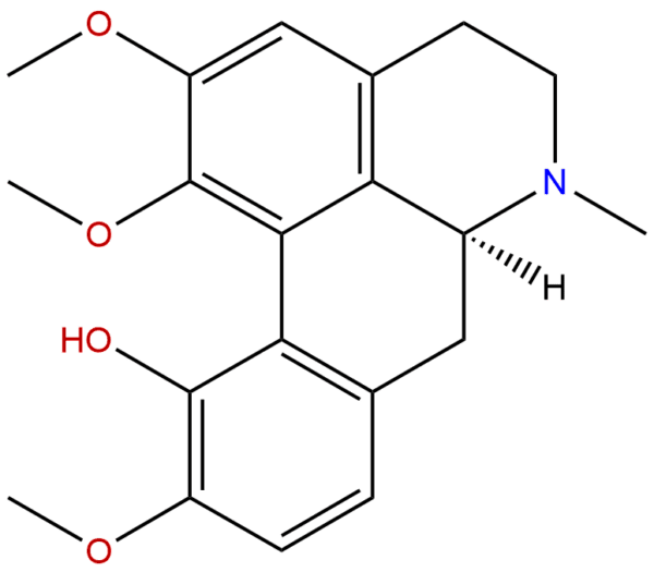 475 67 2 - BIORLAB