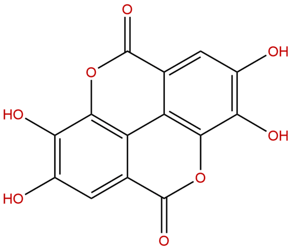 476 66 4 - BIORLAB