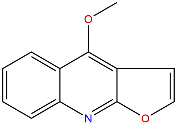 484 29 7 - BIORLAB