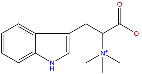 487 58 1 - BIORLAB