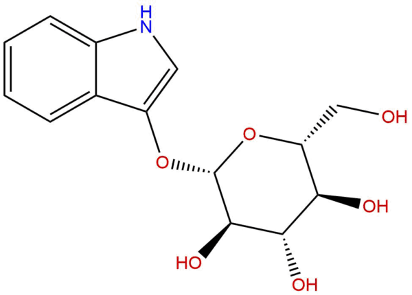 487 60 5 - BIORLAB