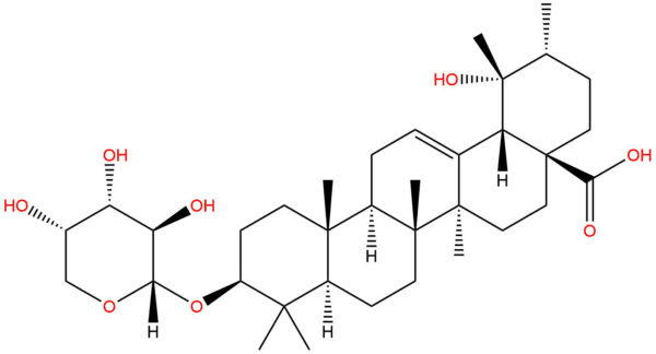 4985e53ca12529ae9fe51223ae5da22e - BIORLAB