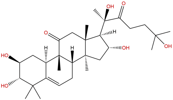 50298 90 3 - BIORLAB