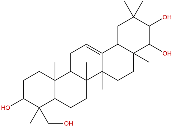 508 01 0 - BIORLAB