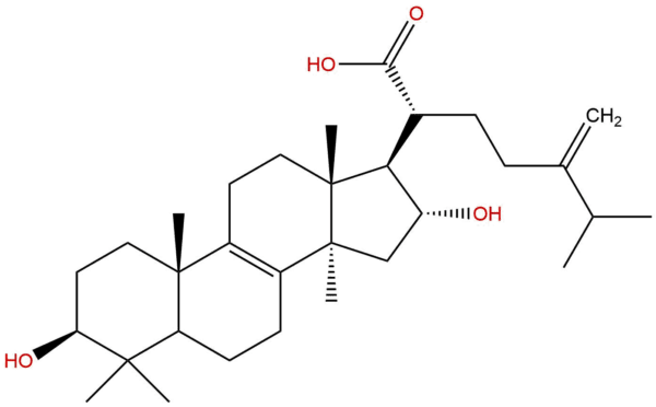 508 24 7 - BIORLAB