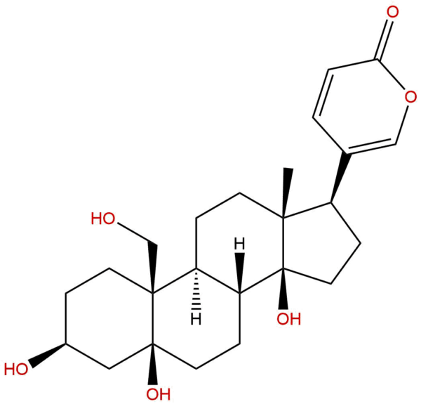 508 79 2 - BIORLAB