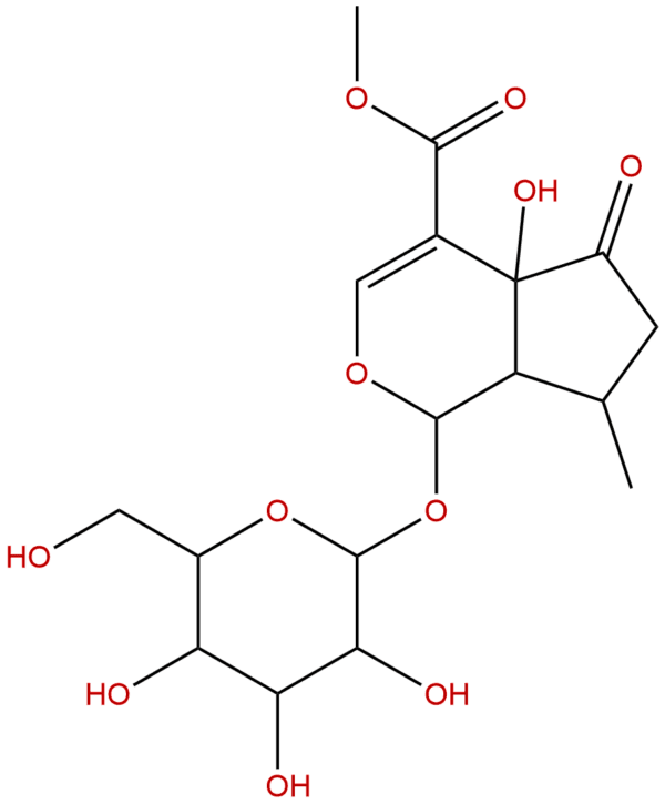 50816 24 5 - BIORLAB