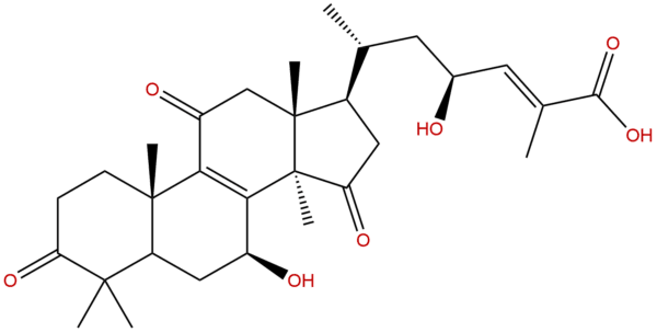 508182 41 0 - BIORLAB