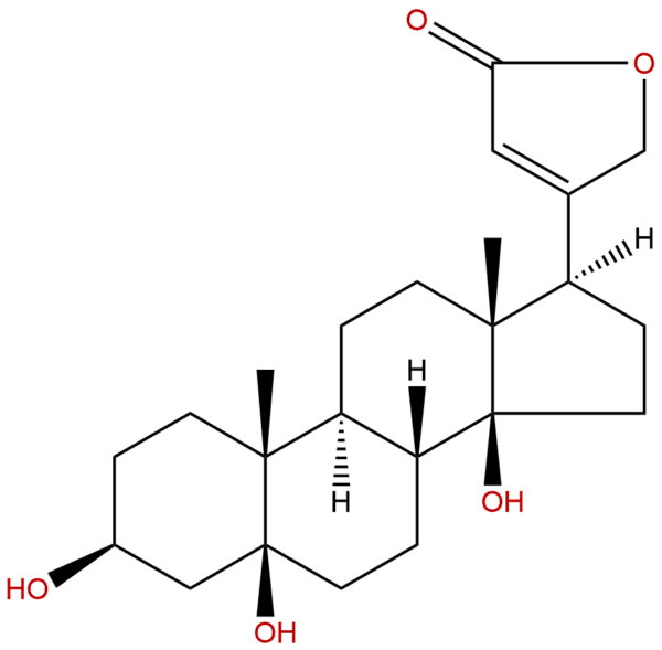 514 39 6 - BIORLAB