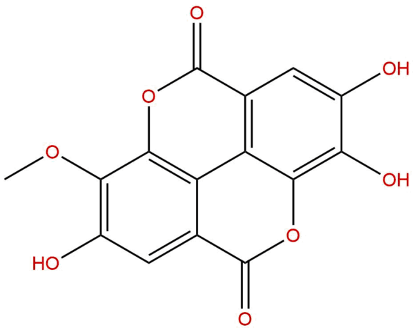 51768 38 8 - BIORLAB