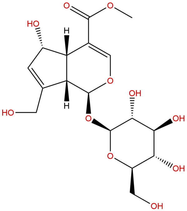 52613 28 2 - BIORLAB