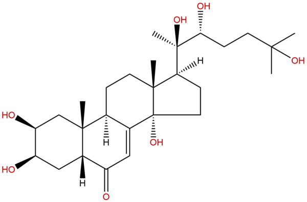 5289 74 7 - BIORLAB