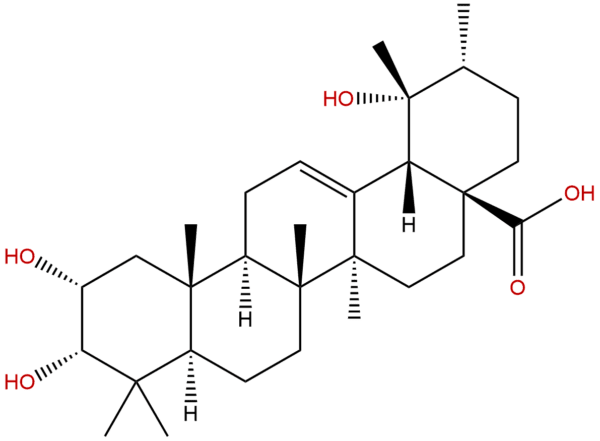 53155 25 2 - BIORLAB