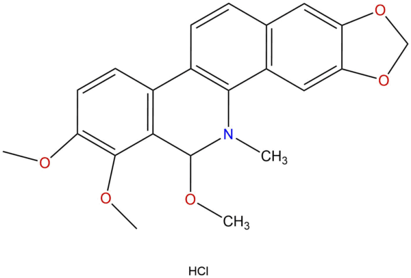 540d17774531cbf81da44df0bb4d5a5c - BIORLAB