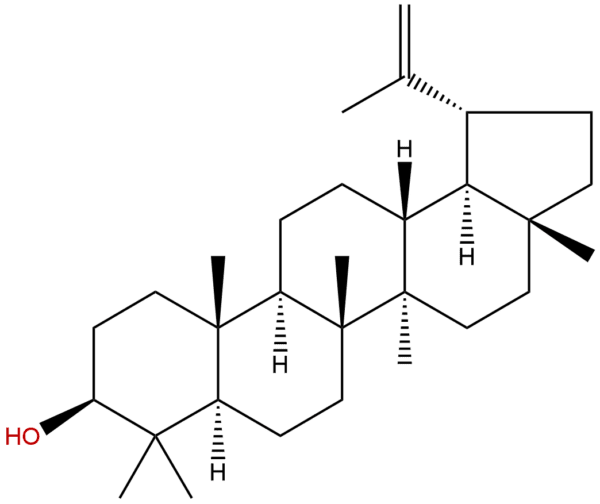 545 47 1 - BIORLAB