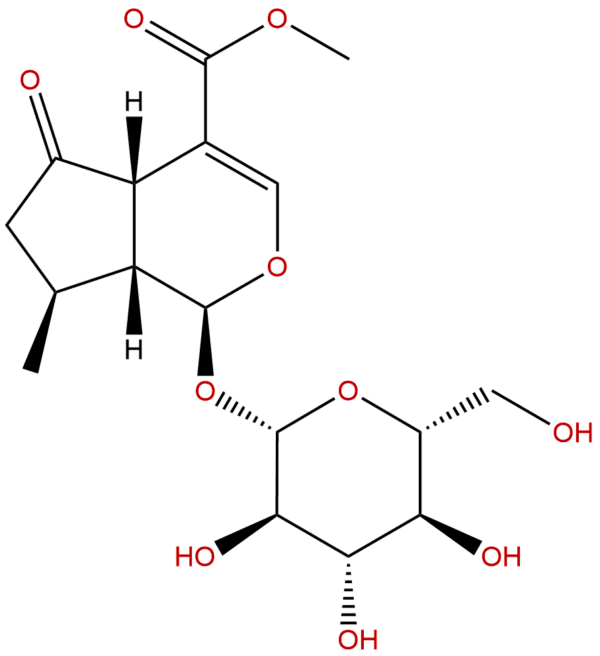 548 37 8 - BIORLAB