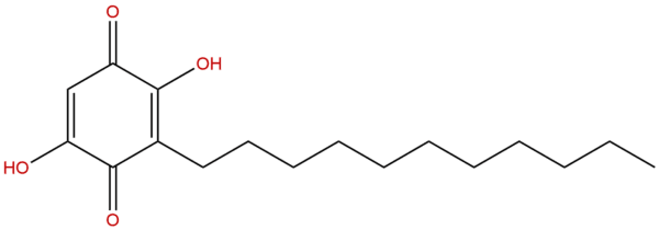 550 24 3 - BIORLAB