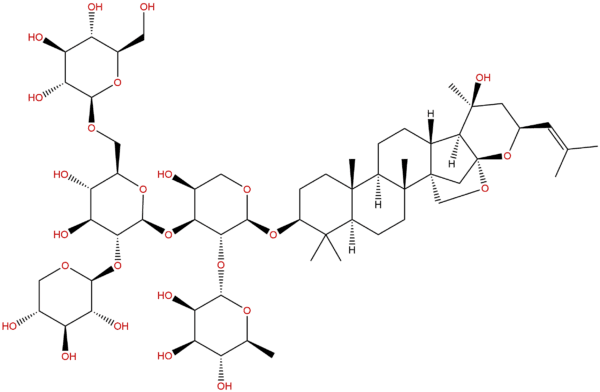 55466 04 1 - BIORLAB