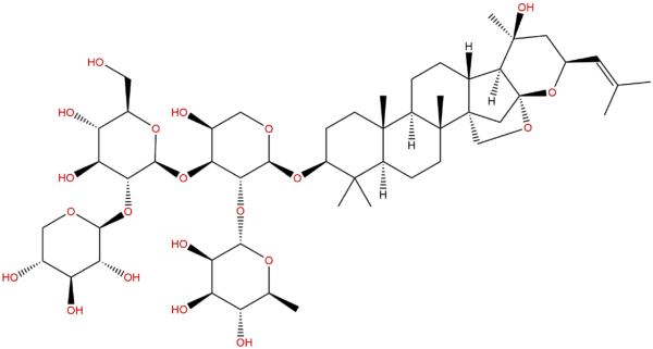 55466 05 2 - BIORLAB