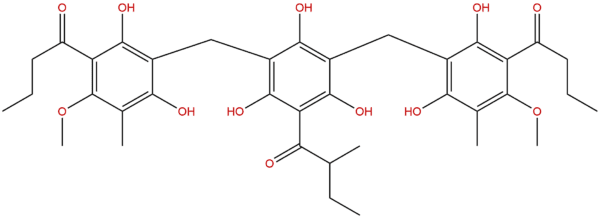 55576 66 4 - BIORLAB