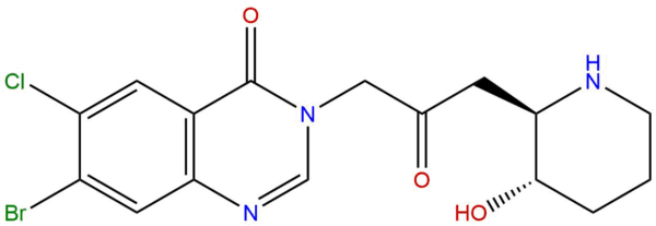 55837 20 2 - BIORLAB