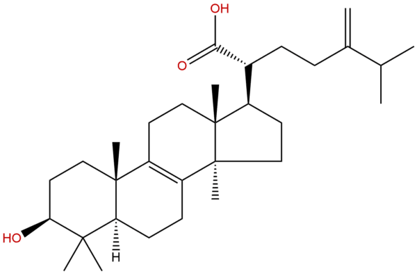 560 66 7 - BIORLAB