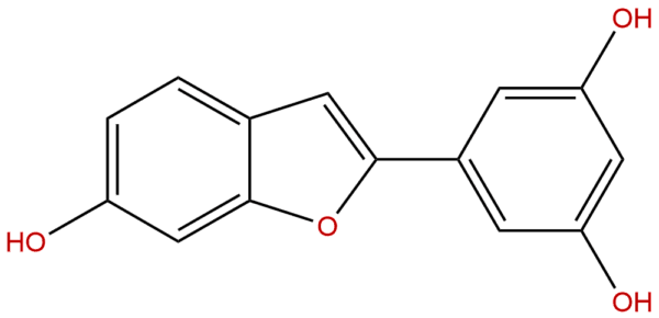 56317 21 6 - BIORLAB