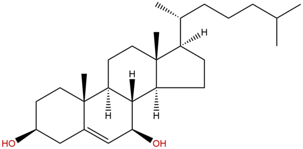 566 27 8 - BIORLAB